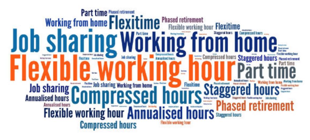 Flexible Working Arrangements Practices Dissertation
