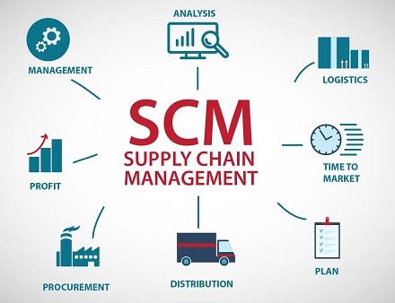 Supply Chain Management Dissertation