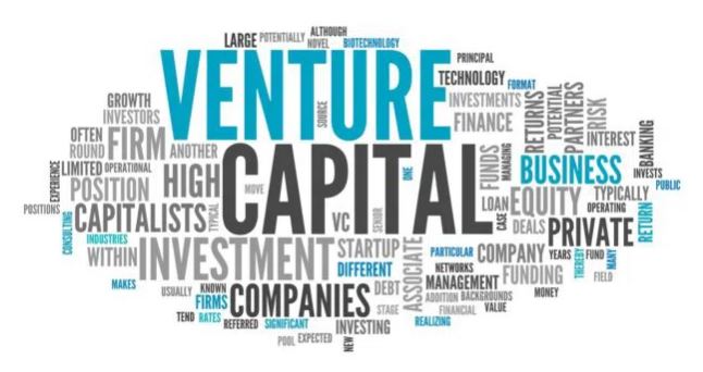 UK Venture Capital Industry MBA Dissertation