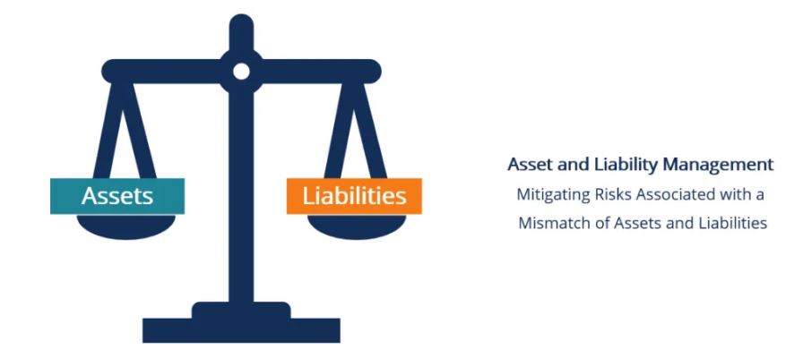 Asset Liability Management (ALM) Dissertation