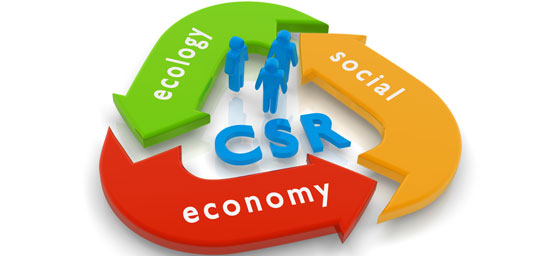 Corporate Social Responsibility (CSR) Dissertation