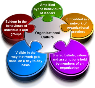 Organisational Culture and HR Practices Dissertation