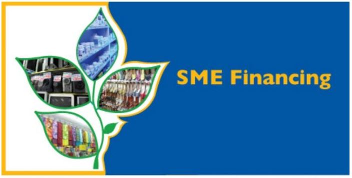 SME Financing Challenges Dissertation