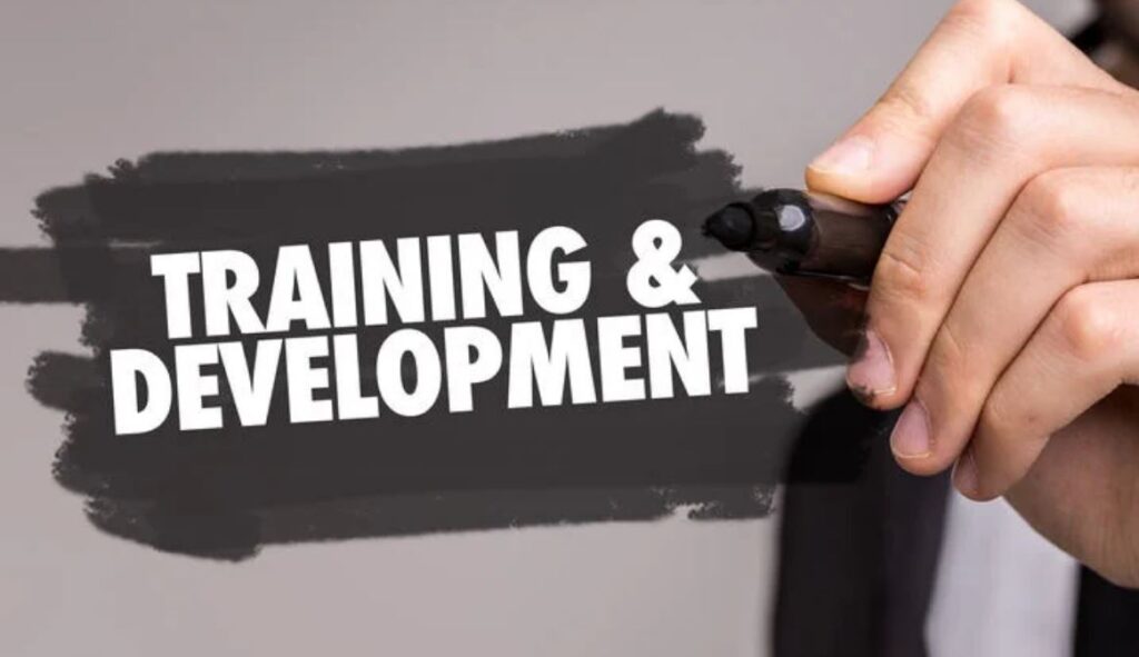 Training and Development Programs at Tesco Dissertation