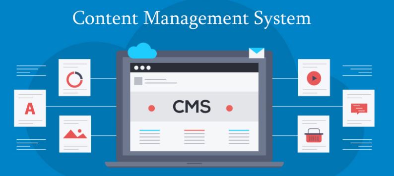 Building a Content Management System Final Year Project