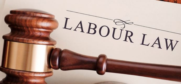 Regulation of Labour Standards Dissertation