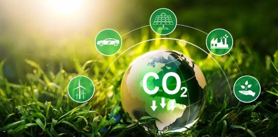 Green Marketing and Carbon Footprints Dissertation
