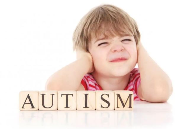 Children With Autism In Mainstream Primary School Dissertation