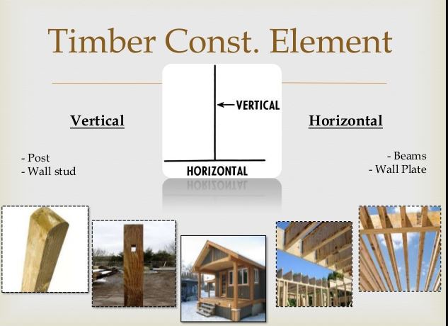 Timber as a Structural Element Dissertation