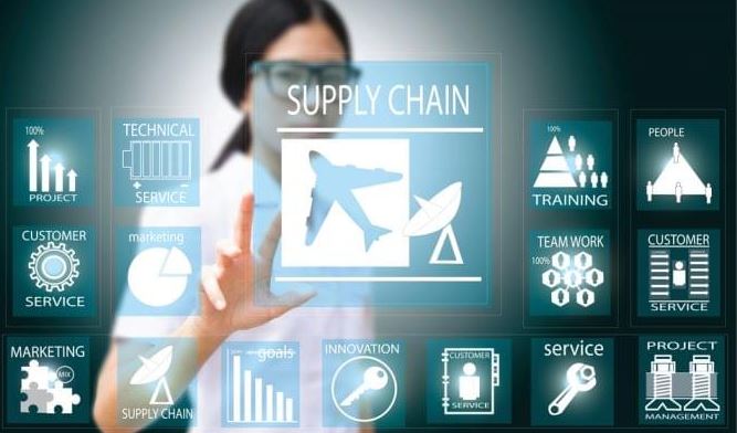 Information Technologies in Supply Chains Dissertation