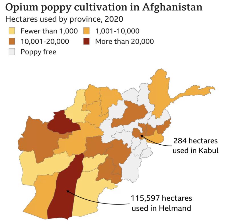 Opium Production in Afghanistan Economics Dissertation